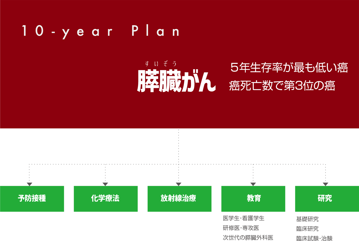 膵臓癌に対する戦略～10か年計画～